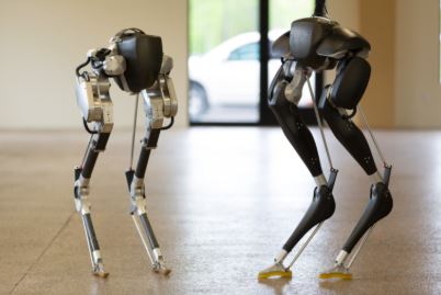 Inteligencia Artificial para que los robots anden